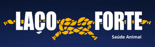 Logo Laço Forte