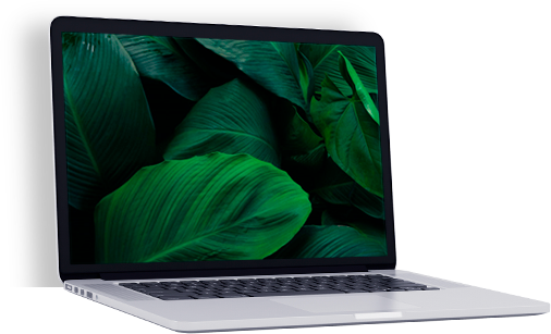 Assistência para Notebook